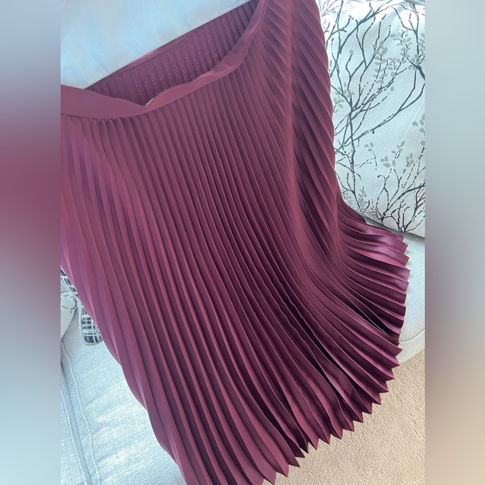Club Monaco pleated silk skirt.
